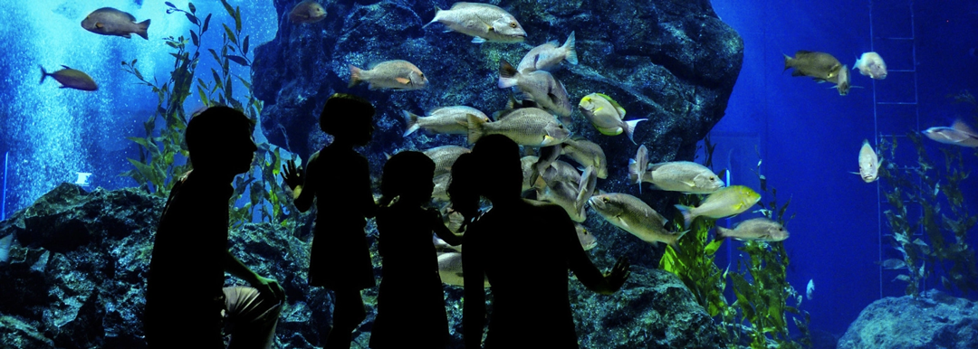 Waikiki Aquarium